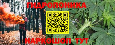 кокс Гусь-Хрустальный