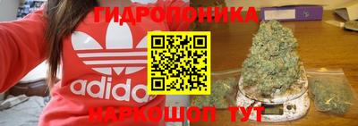 скорость Гусев
