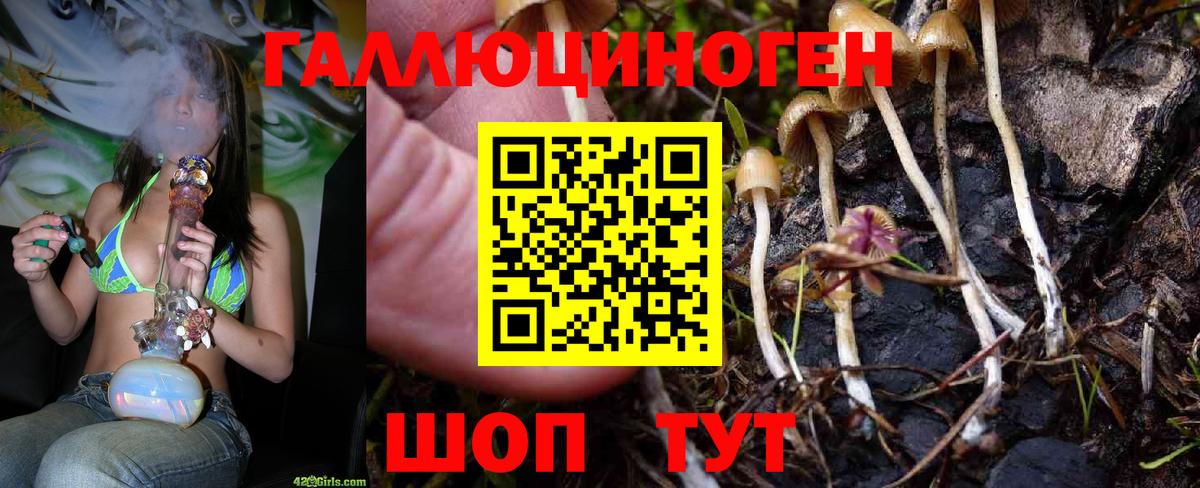 Галлюциногенные грибы мухоморы Орёл