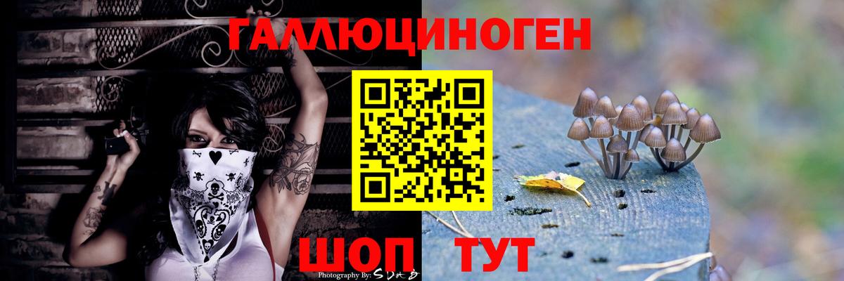 Галлюциногенные грибы Psilocybine cubensis  Вход с VPN  Орёл 